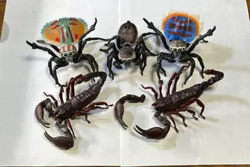 생물대도감 피콕 스파이더 레드 크로우 엠퍼러 스콜피온 세트