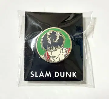 슬램덩크 서태웅 핀즈