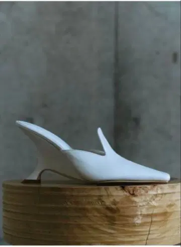 청키힐 뮬 anuans