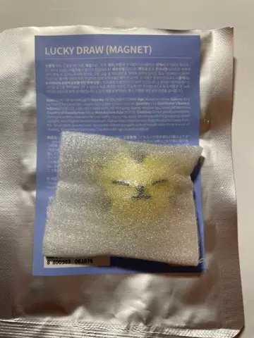 SEVENTEEN miniteen 마그넷 호시