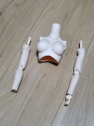 보크스 MDD 가슴, 팔 부품?