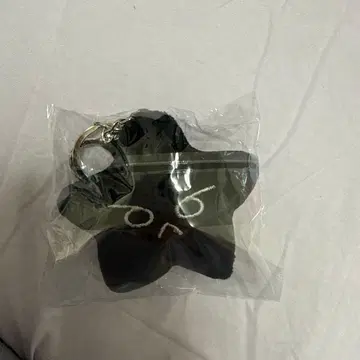 nct 127 도영 불가사리 키링 블랙 이리