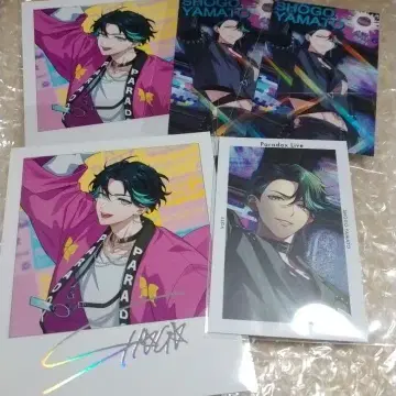 파라라이 도프보 6주년 쇼고 프로필 카드 금박 포토 G프리