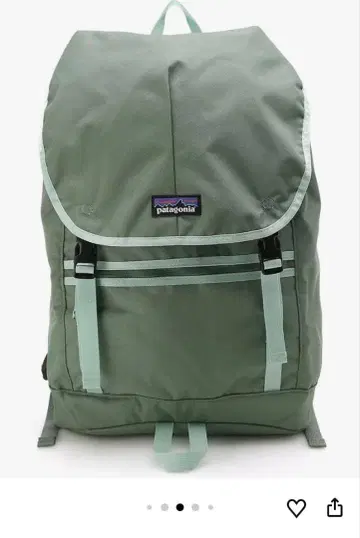 단종 파타고니아 아버 클래식