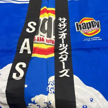 서던 올스타즈 핫피 1995년 라이브