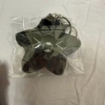 NCT 127 HAECHAN 별 노래 키링