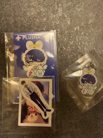 플러스메이트 스텔라와스 코토리유 카타기리