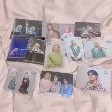 Mrs. GREEN APPLE 후지사와 료카 하모니 트레이딩 카드