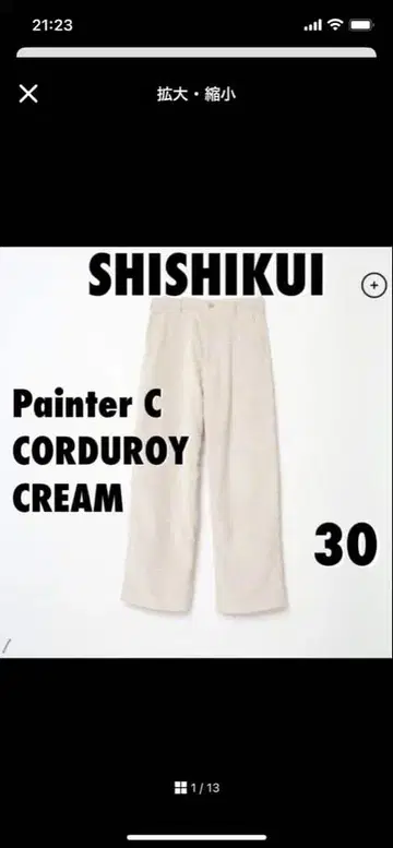 THE SHISHIKUI Painter C / CREAM 30
