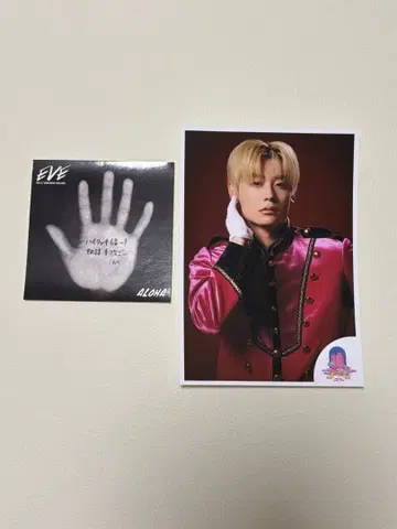 EVE 알로하 손바닥 스티커 사진 L 사이즈