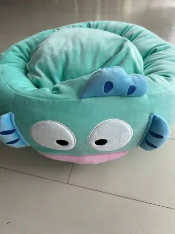 한교동 반려동물 침대