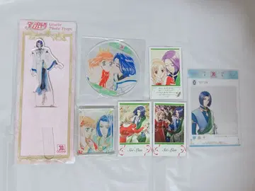 앙제리카 세이란 묶음 판매