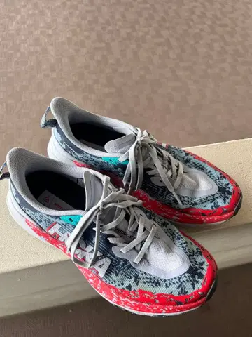 HOKA SPEEDGOAT6 25.5cm