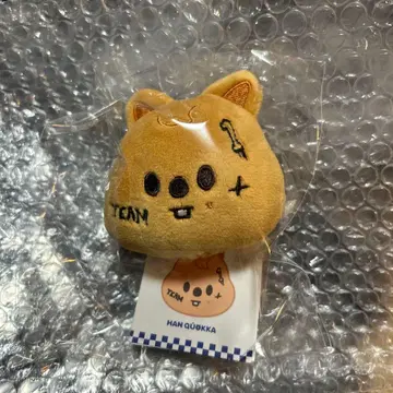 straykids KARMA 팝업 SKZOO 네임택 한