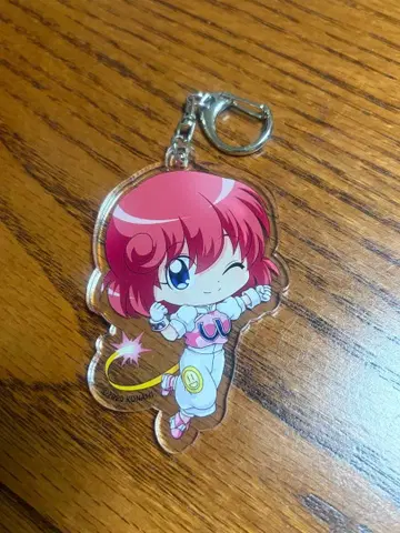 봄버걸 푸치쵸코 아크릴 키링 파스텔 윈비
