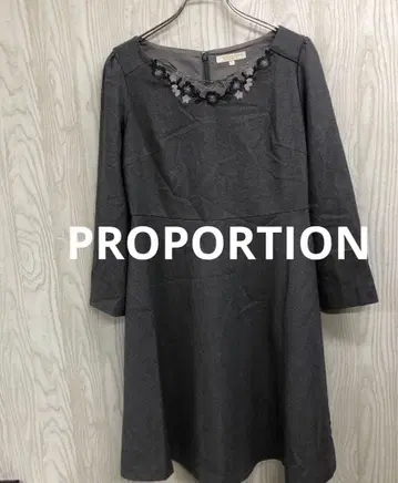 z-772 PROPORTION 그레이 긴팔 원피스 사이즈 3