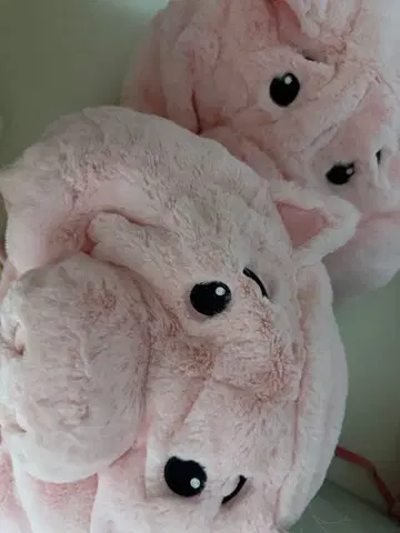 디즈니 햄 모자