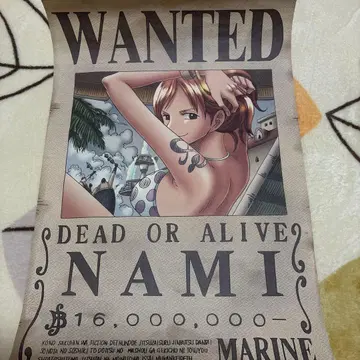 원피스 원티드 포스터 세트