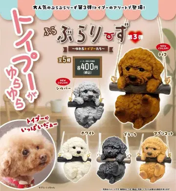 부라부라리즈 토이 푸들 캡슐 토이 3개 세트