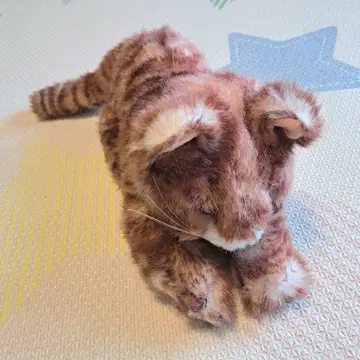 KalKan 경품 홍차색 고양이 봉제 인형 트라 KalKan 핑크