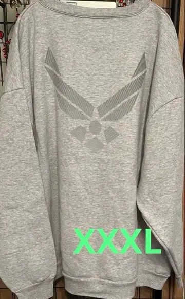 미국산 U.S.AIRFORCE 미국 공군 프린트 맨투맨