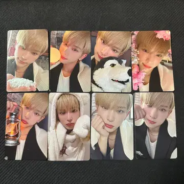 &TEAM HARUA 하루아 설광 트레이딩 카드