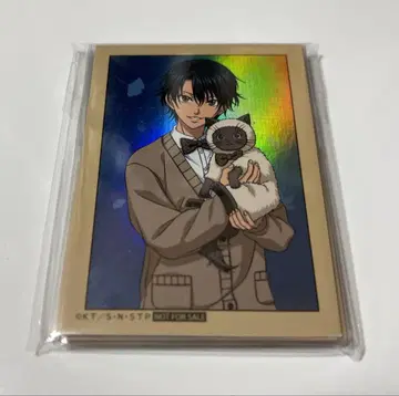 신 테니스의 왕자님 특전 홀로그램 카드 컴플리트 9장 미개봉