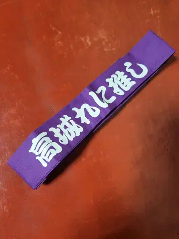 모모이로 클로버 Z 타카기 레니 하치마키