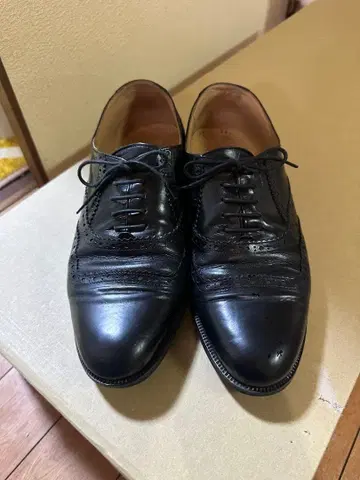 marelli 마렐리 REGAL 리갈