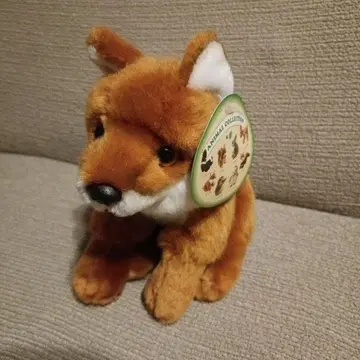 레어 따뜻함 REGALO 레갈로 봉제 인형 여우 여우