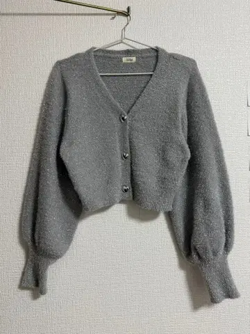 evelyn 그레이 크롭 가디건