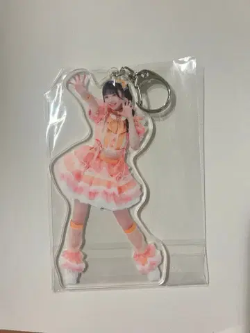 iLiFE! 코구마마무 아크릴 키링 4종