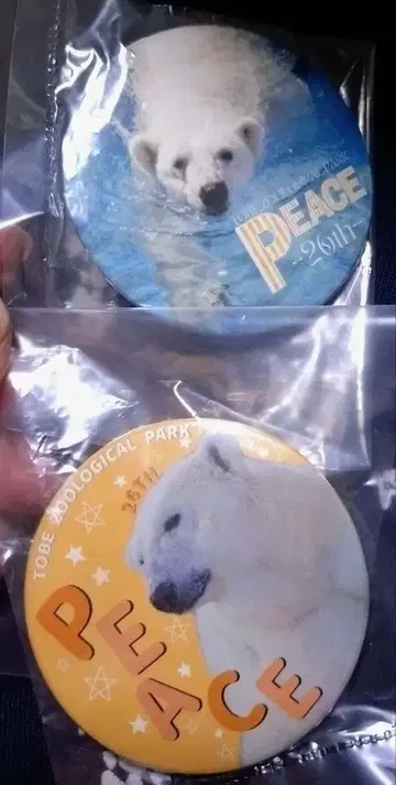 도베 동물원 피스 26세 벌스데이 캔뱃지 원내 한정판 북극곰