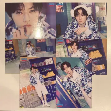 stray kids JYP 팝업 랜덤 트레이딩 카드 컴플리트 리노