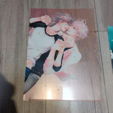 사쿄 아야 크로네코 남자친구 홀린 러브북스 특전 B5 클리어 파일