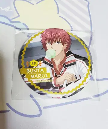 신 테니스의 왕자님 마루이 분타 캔뱃지