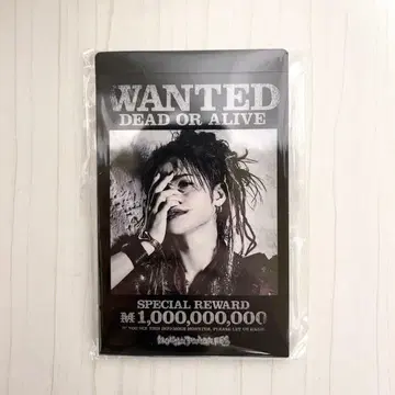 마우피 페스 포토 카드 세트