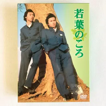 [ 리뉴얼판 ] KinKi Kids [ 와카바노코로 ] DVD 6매 세트