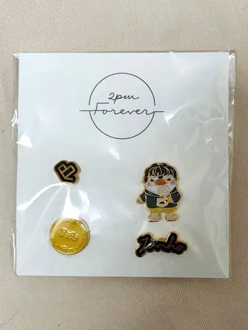 2PM 10th anniversary 2pm Forever 펭귄 핀 배지