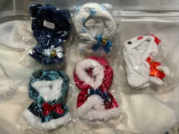 고양이의 케이프 4종 winter 컬렉션 2019