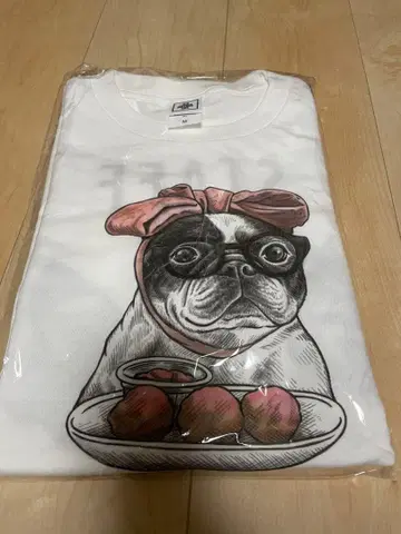 프렌치 불독 LIVE 2025 롱티