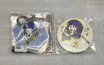 사이키 쿠스오의 재난 그래프 아트 아크릴 키링 캔뱃지 테루하시