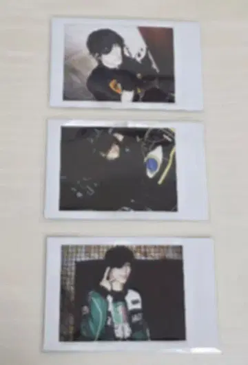 아나타시아 시바켄 폴라로이드