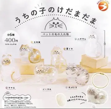 우리 아이의 털뭉치 전 6종 세트