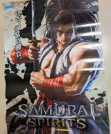 사무라이 스피릿 포스터