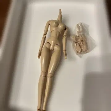 보크스 가동 바디 화이트 색상 부품 포함