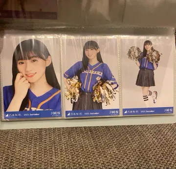 노기자카 생사진 카와사키 사쿠라 베이스볼 셔츠