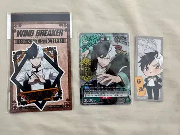 wind breaker 벚꽃 하루카 묶음 판매