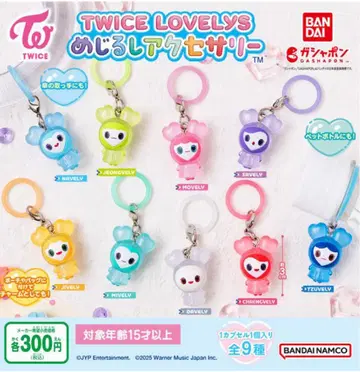 TWICE LOVELYS 메지루시 액세서리