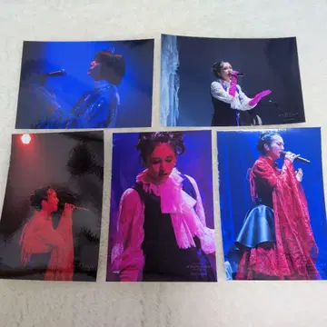 시바사키 코우 라이브 사진 5장 세트